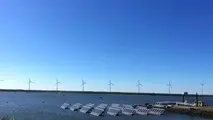 The Netherlands to release its largest floating solar farm