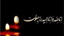 پیام تسلیت رئیس سازمان هواشناسی در پی شهادت یکی از روسای ایستگاه‌ های هواشناسی کشور