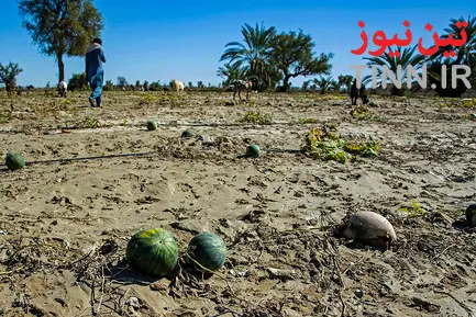خسارات سیل به عشایر بورک شهرستان نیکشهر