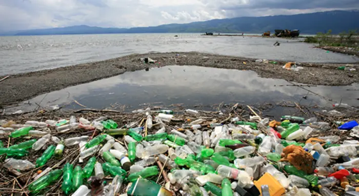 About 75% of plastic bottles in sea come from China, report finds