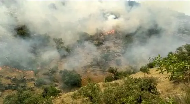 آتش سوزی منطقه حفاظت شده خائیز مهار شد
