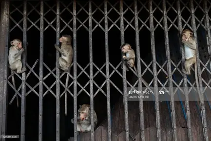gettyimages-1229844935-2048x2048