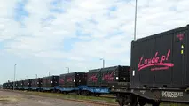 High-capacity container wagons ordered for Poland – Russia route