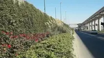 منابع شهرداری قم چندین برابر بدهی هاست