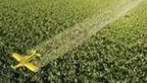 حال عمومی دو مصدوم حادثه هواپیمای آموزشی در چناران مساعد است