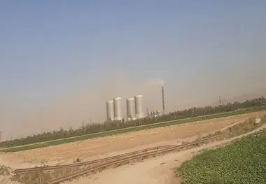 آقای رئیس جمهور مار مرده نخرید!/ دولتمردان در برنامه ریزی های خود، پیکان می سازند