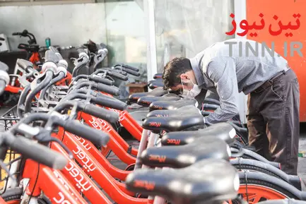 بیدود