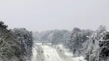فیلم| جاده‌‌ای در آمریکا در یک روز برفی بهاری