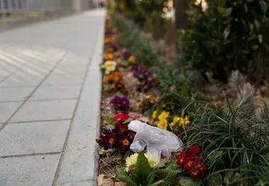 تصاویری تلخ که این روزها در تهران زیاد دیده می‌شود