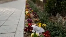 تصاویری تلخ که این روزها در تهران زیاد دیده می‌شود