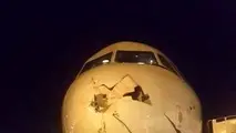 تمهیدات شرکت های هواپیمایی و فرودگاهی برای دور کردن پرندگان از مسیر پرواز هواپیماها چیست؟
