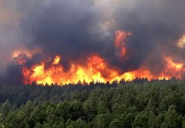 هشدار آتش سوزی در عرصه های جنگلی مازندران