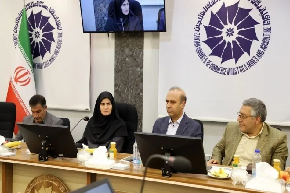 تلاش های مستمر برای راه اندازی خط هوایی در زنجان