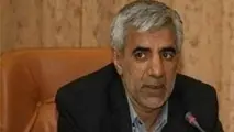 ◄ هواپیمای اماراتی به فرودگاه امام(ره) بازگشت