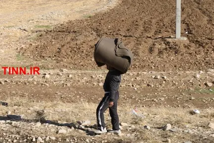 گزارش تصویری