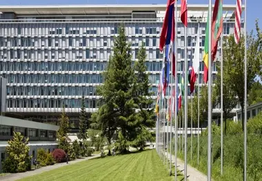 IRU research into accident causation cited as WHO ministerial meeting spurs global action