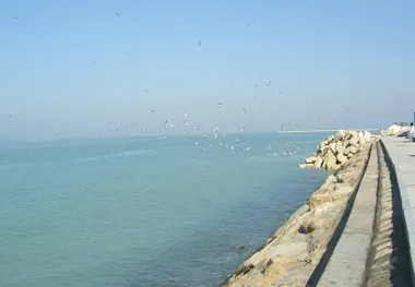 نروژی ها به بندر آفتاب آمدند
