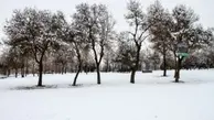 بارش باران و برف در ایلام