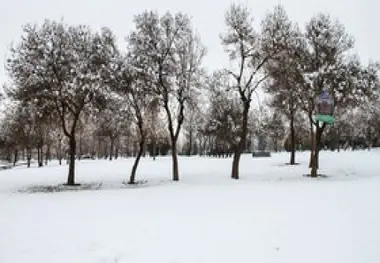 بارش باران و برف در ایلام