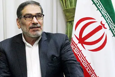 جزئیات تازه از سانحه هواپیمای اوکراینی از زبان دبیر اسبق شورای عالی امنیت ملی