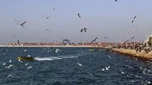 برگزاری نشست هم اندیشی رونق گردشگری دریایی در بندرخرمشهر