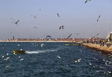 برگزاری نشست هم اندیشی رونق گردشگری دریایی در بندرخرمشهر