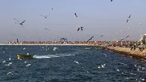 آبادان بی بهره از درآمد گردشگری