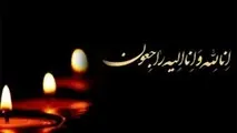 پیام همدردی با امیر لطفی‌نیا مدیر ایمنی فرودگاه یاسوج

