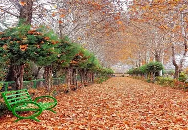 تصویری پاییزی از بوستان فدک