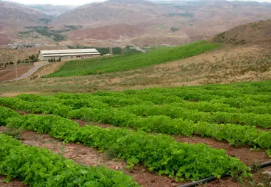 هواپیمای خودران کمک حال کشاورزان می شود