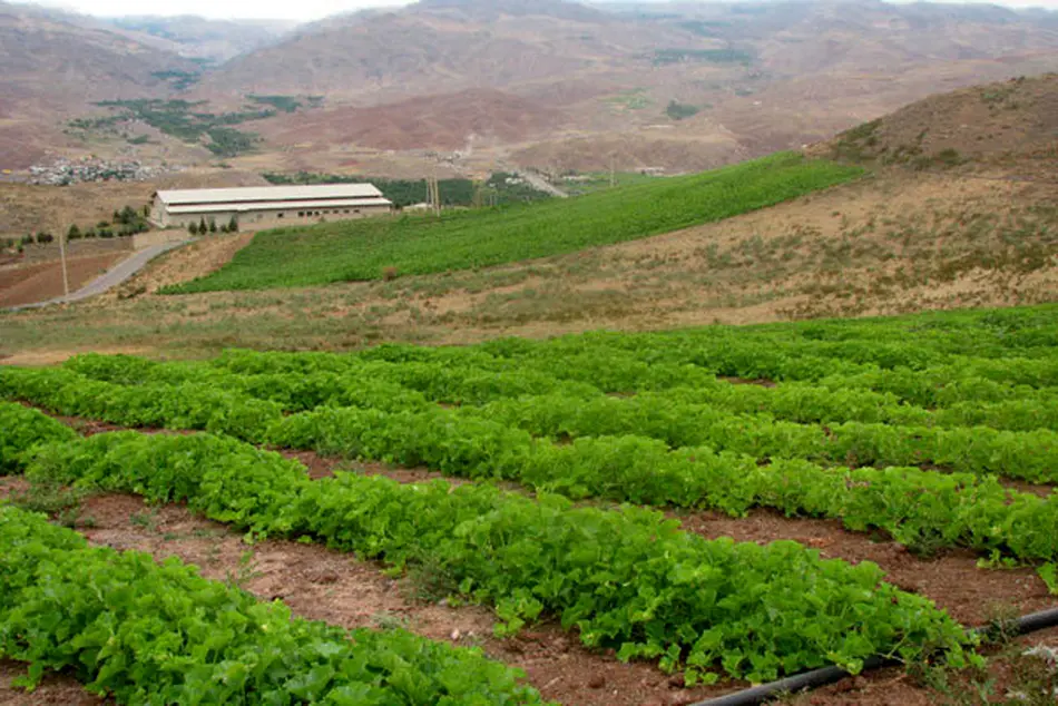 هواپیمای خودران کمک حال کشاورزان می شود