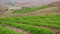 هواپیمای خودران کمک حال کشاورزان می شود