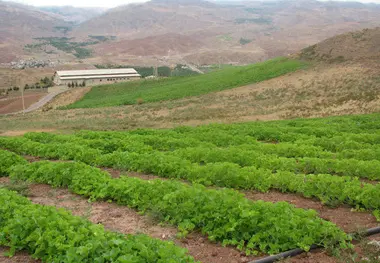 هواپیمای خودران کمک حال کشاورزان می شود