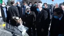 سفر وزیر میراث فرهنگی، گردشگری و صنایع دستی برای افتتاح یک طرح گردشگری در استان قزوین