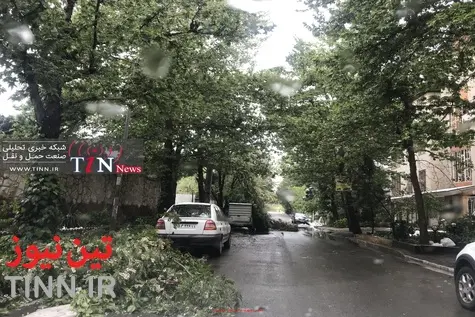 (تصاویر) برف بهاری کرج را سفیدپوش کرد