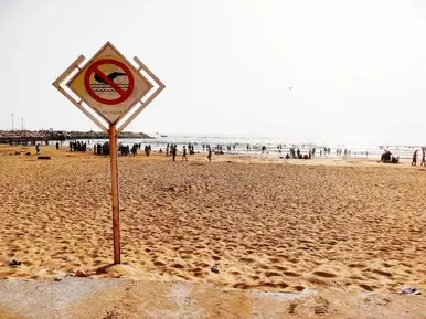 سیراف1