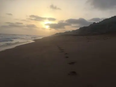 photo_2017-08-29_14-09-15