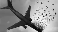 دلیل ارزیابی نادرست کارشناسان هوانوردی از سانحه هواپیمای اوکراینی چه بود؟