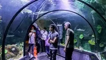 Iran’s biggest aquarium tunnel opens in Anzali port