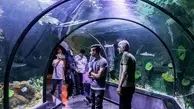 Iran’s biggest aquarium tunnel opens in Anzali port