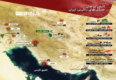 اینفوگرافی | آتش بر جان جنگل های زاگرس