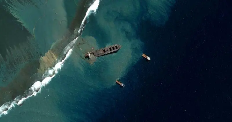 Mauritius Oil Clean-up Turns Focus From Ship To Shore