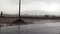 محور ده بکری- جیرفت مسدود شد