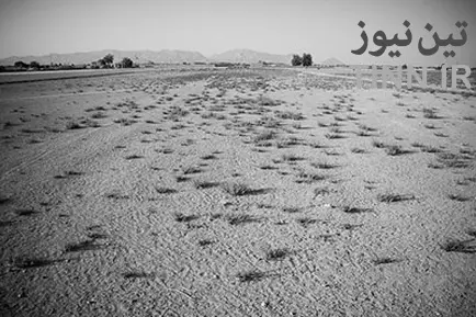n00026018-r-b-003