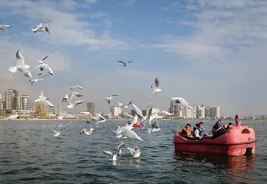 تهران؛ میزبان «پرندگان سیبری»