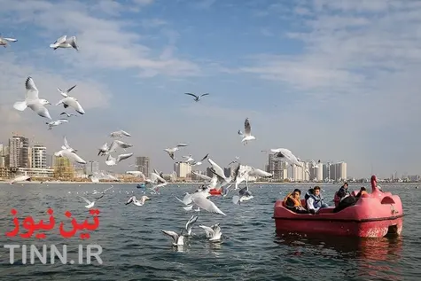 تهران؛ میزبان «پرندگان سیبری»