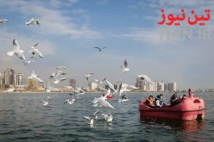 تهران؛ میزبان «پرندگان سیبری»