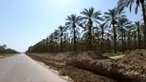 تکمیل فاز دوم محور گردشگری بوشهر
