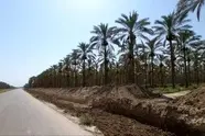 تکمیل فاز دوم محور گردشگری بوشهر
