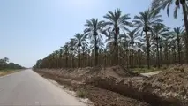 تکمیل فاز دوم محور گردشگری بوشهر
